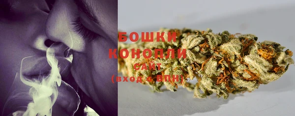 стаф Богородск