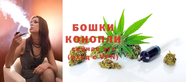 гидра Бородино