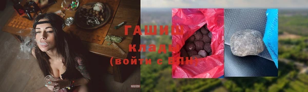 гидра Бородино