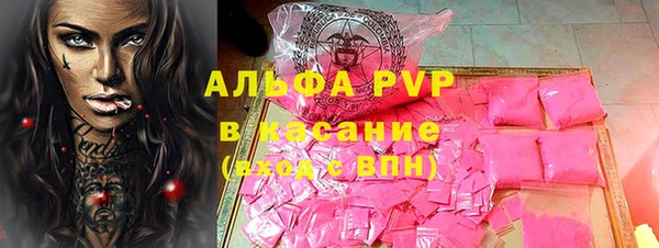 гидра Бородино