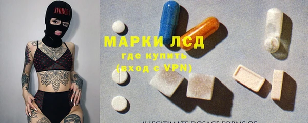 гидра Бородино